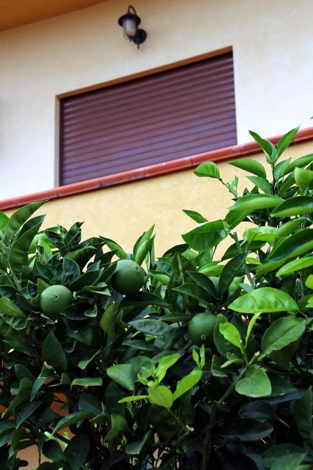 Villa Casa Floriana A San Leone Esterno foto